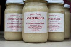 Horseradish